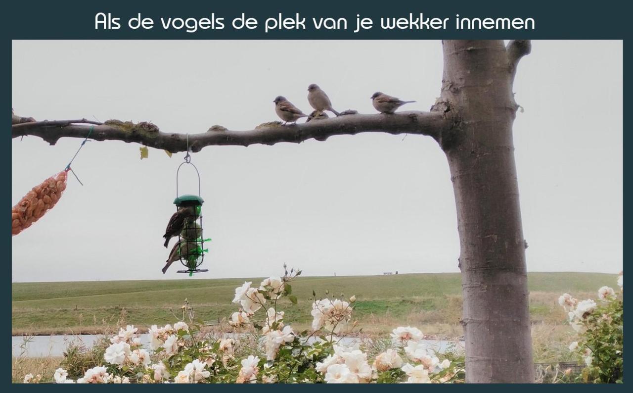 Vakantiewoning Deltahof Ellewoutsdijk Exteriér fotografie