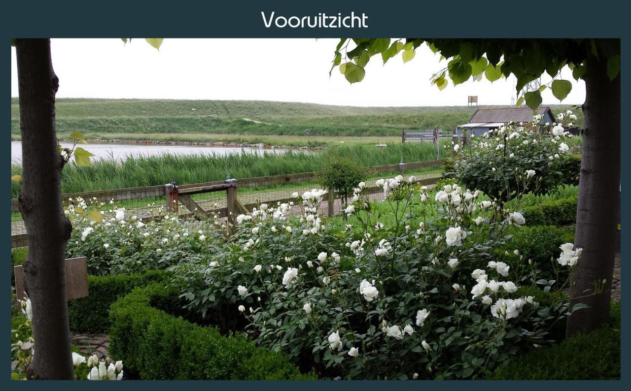 Vakantiewoning Deltahof Ellewoutsdijk Exteriér fotografie