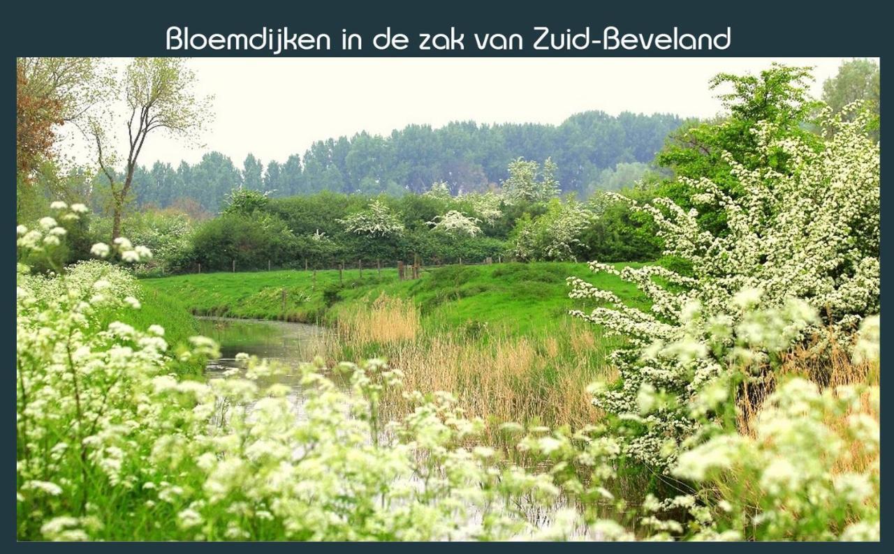 Vakantiewoning Deltahof Ellewoutsdijk Exteriér fotografie