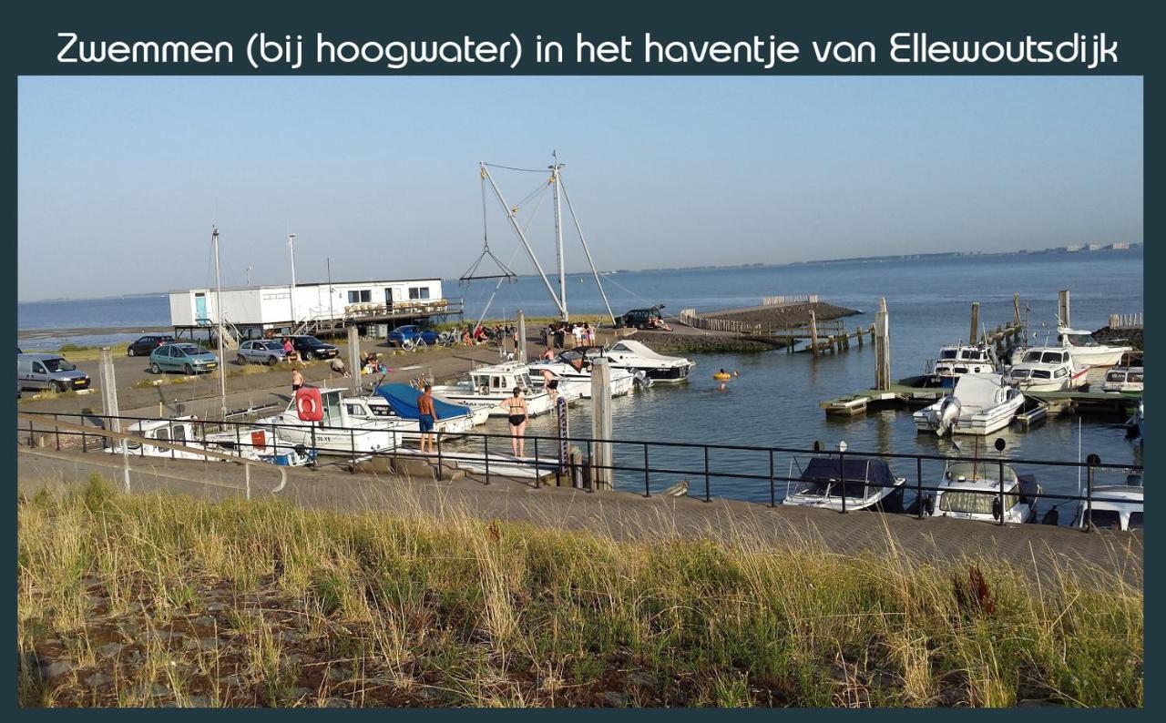 Vakantiewoning Deltahof Ellewoutsdijk Exteriér fotografie