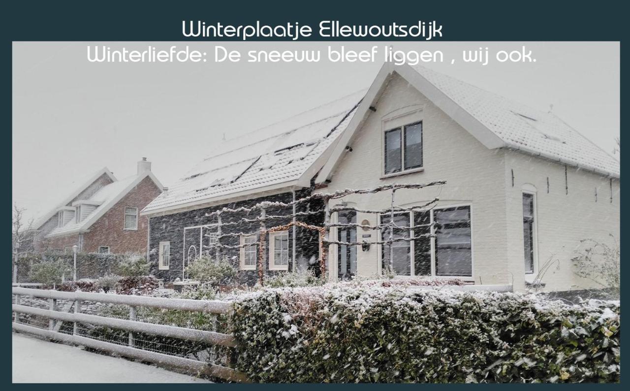 Vakantiewoning Deltahof Ellewoutsdijk Exteriér fotografie